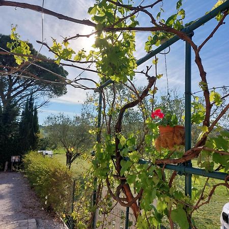 Vento E Mare Bed and Breakfast Riotorto Exteriör bild