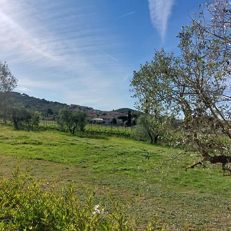 Vento E Mare Bed and Breakfast Riotorto Exteriör bild