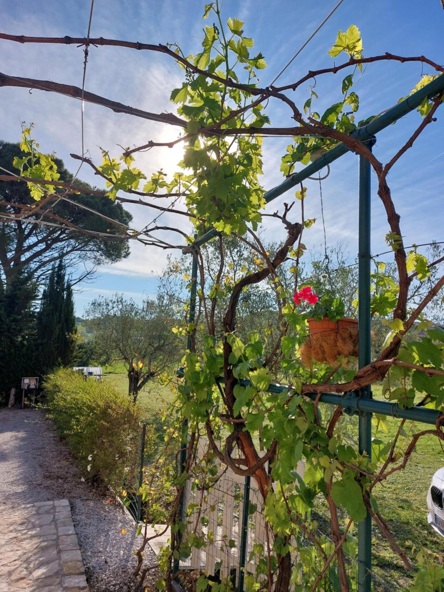 Vento E Mare Bed and Breakfast Riotorto Exteriör bild