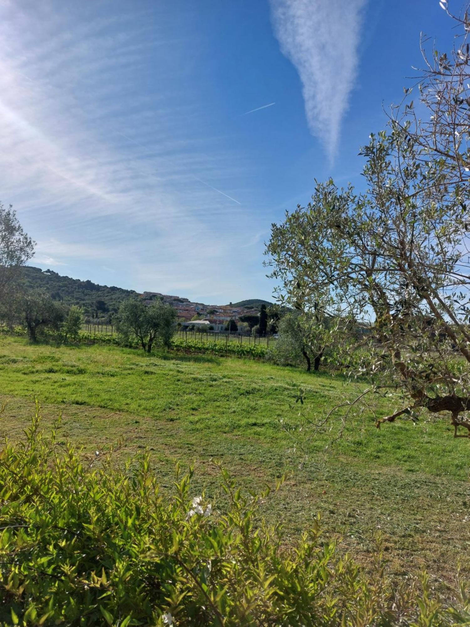 Vento E Mare Bed and Breakfast Riotorto Exteriör bild